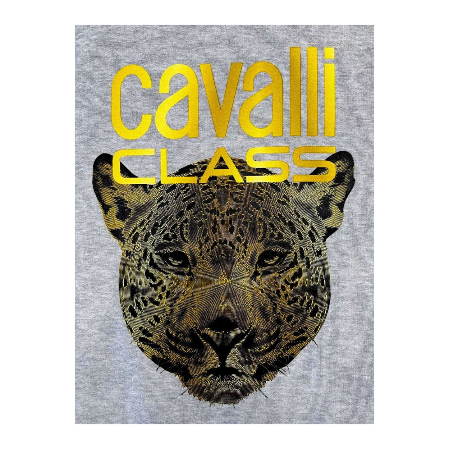 Cavalli Class Felpe