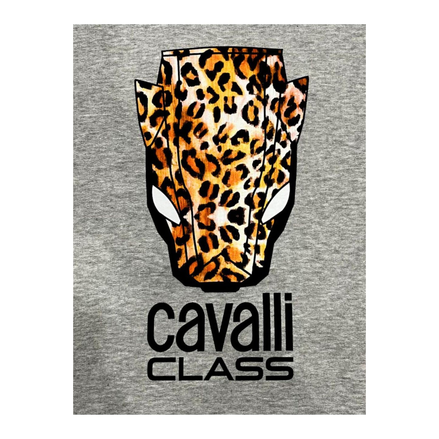 Cavalli Class Felpe